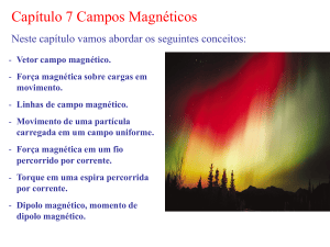 Cap&iacute;tulo 7: Campos Magn&eacute;ticos - F&iacute;sica