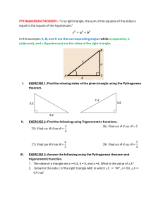 Pythagorean Theorem Exercises: Right Triangles & Trigonometry