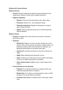 Sistemas del Cuerpo Humano: Excretor, Urinario y Locomotor