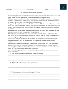How Flowering Plants Reproduce and Spread Worksheet