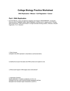 College Biology Practice Worksheet: DNA Replication, Mitosis, Cell Regulation, Cancer
