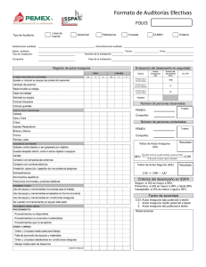 Formato de Auditor&iacute;as Efectivas de PEMEX y SSPA