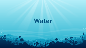 Properties of Water: Molecular Structure & Key Characteristics