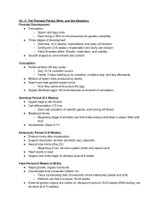 Prenatal Development, Birth, and Newborn Chapter