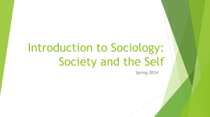 Introduction to Sociology: Society and the Self