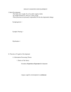 Infant Cognitive Development: Brain & Theories