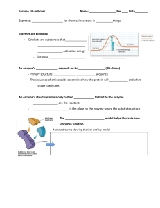 Enzyme Fill-in Notes: Biological Catalysts Worksheet