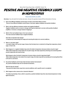 Positive and Negative Feedback Loops in Homeostasis Worksheet