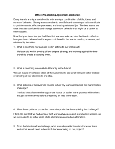 SM131 Pre-Working Agreement Worksheet: Team Reflection
