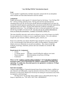 "Any Old Bag Will Do" Introduction Speech Assignment