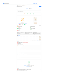 PageSpeed Insights Report: Website Performance Analysis
