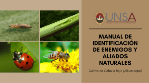 Manual de identificaci&oacute;n de enemigos y aliados naturales