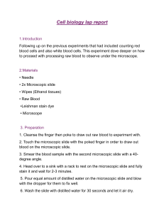 Cell Biology Lab Report: Blood Smear Preparation & RBC Observation