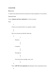 Ecosystem Assignment: Diagram and Explanation