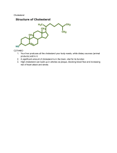Cholesterol Structure and Facts