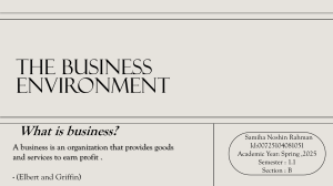 The Business Environment: Introduction to Business Concepts