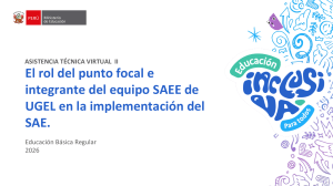 ASISTENCIA T&Eacute;CNICA VIRTUAL II - Rol del punto focal y SAEE
