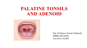 Palatine Tonsils and Adenoid: Anatomy, Pathology, Treatment