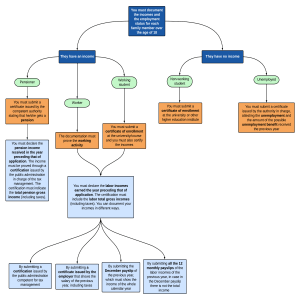 Income and Employment Documentation Guide for Family Members Over 18