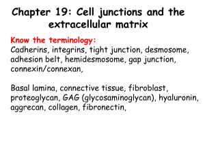 3Week-Junctions (6)