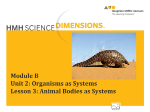Animal Bodies as Systems Lesson | HMH Science Dimensions