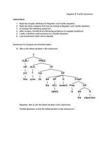 Negation & Yes/No Questions Worksheet