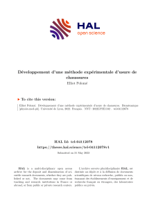 D&eacute;veloppement d'une m&eacute;thode exp&eacute;rimentale d'usure de chaussures