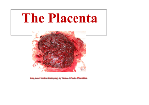 The Placenta: Structure & Function in Medical Embryology