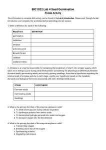 BIO1022 Lab 4 Seed Germination Pre-lab Worksheet