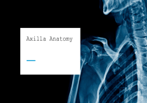 Axilla Anatomy: Boundaries, Blood Supply, Lymphatic Drainage