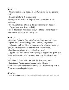 Biology Unit 7: Chromosomes, Inheritance, Variation