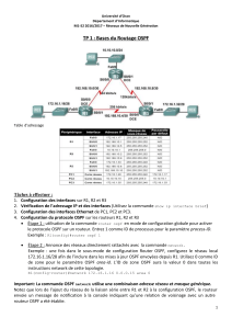 TP 1 : Bases du Routage OSPF - Universit&eacute; d'Oran