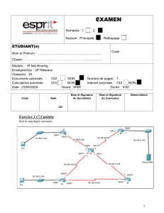 Examen IP Net Routing - Routage, RIP, OSPF, NAT
