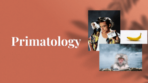 Introduction to Primatology: Study of Primates