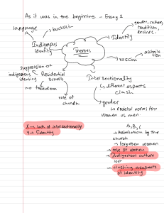 Indigenous Identity & Intersectionality Essay Analysis