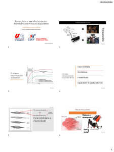 Biomec&acirc;nica do M&uacute;sculo Esquel&eacute;tico