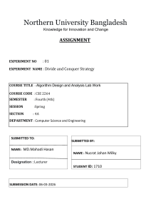 Divide and Conquer Strategy Assignment
