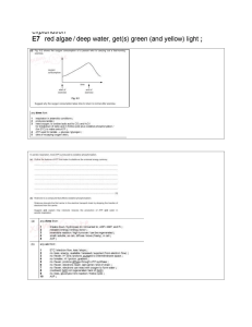 Photosynthesis & Respiration Study Guide: E7 Red Algae & ATP