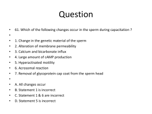 Obstetrics and Gynecology Exam Questions