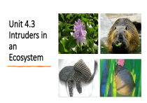 Unit 4.3: Intruders in an Ecosystem