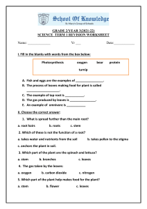 Grade 2 Science Term 1 Revision Worksheet