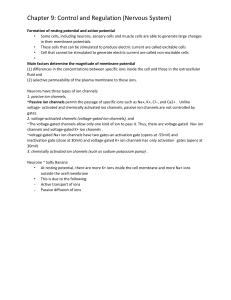 Chapter 9: Control and Regulation (Nervous System)