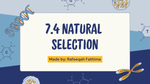 7.4 Natural Selection: Theory & Examples