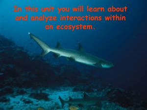 Ecological Interactions: Competition, Predation, Symbiosis