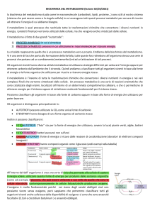 Biochimica del Metabolismo Lezione