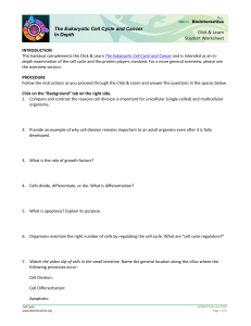 Eukaryotic Cell Cycle and Cancer In Depth Worksheet