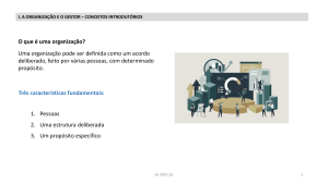 Conceitos B&aacute;sicos de Organiza&ccedil;&atilde;o e Gest&atilde;o
