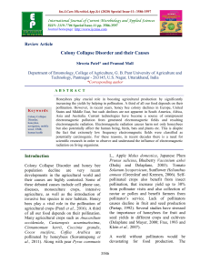 Colony Collapse Disorder Causes Review