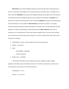 Biochemistry: Biological Molecules & Metabolism