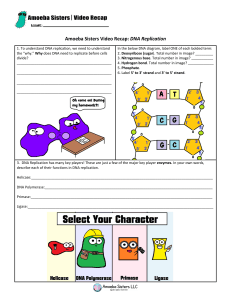 video recap of dna replication by amoeba sisters newheader v.2 (1)